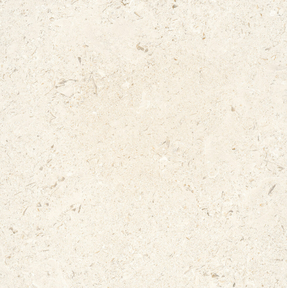 Shell Porcelain Pavers | StonehengeUS